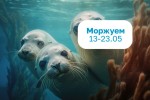 Termoland Крымская: Дни моржевания! Скидка на входные билеты !